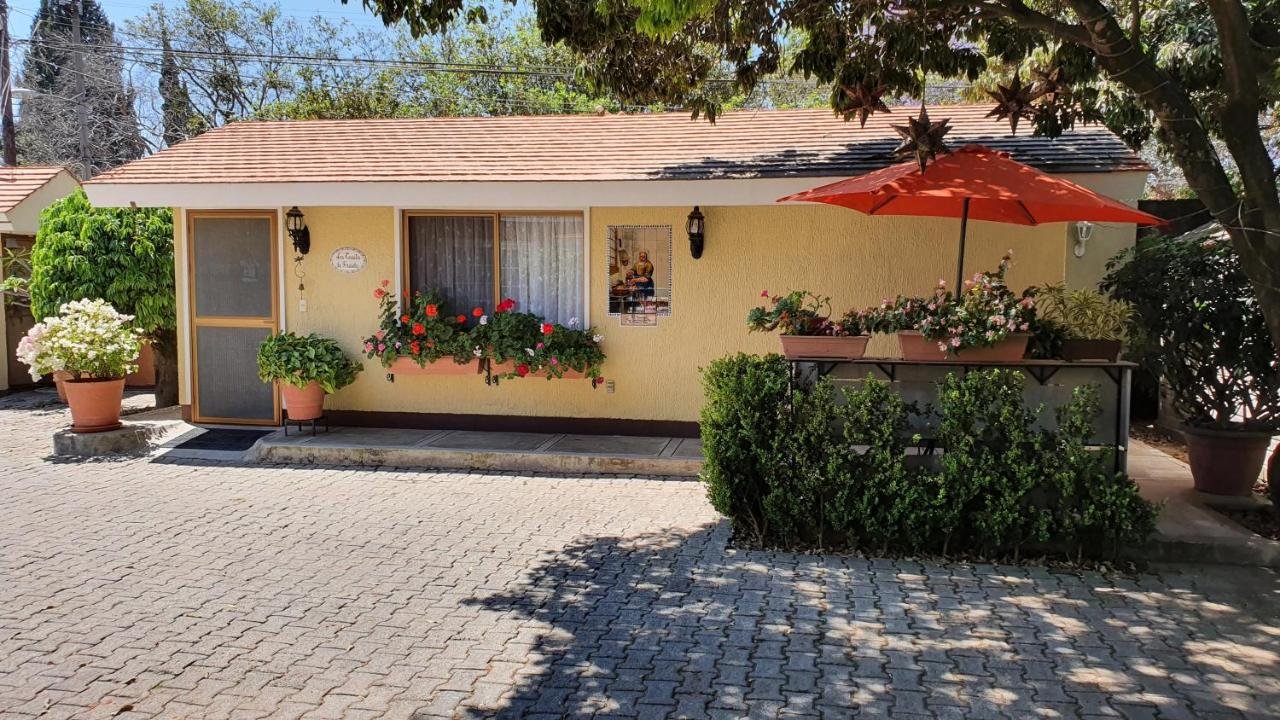 Departamento Amueblado en Renta Guadalajara Sur