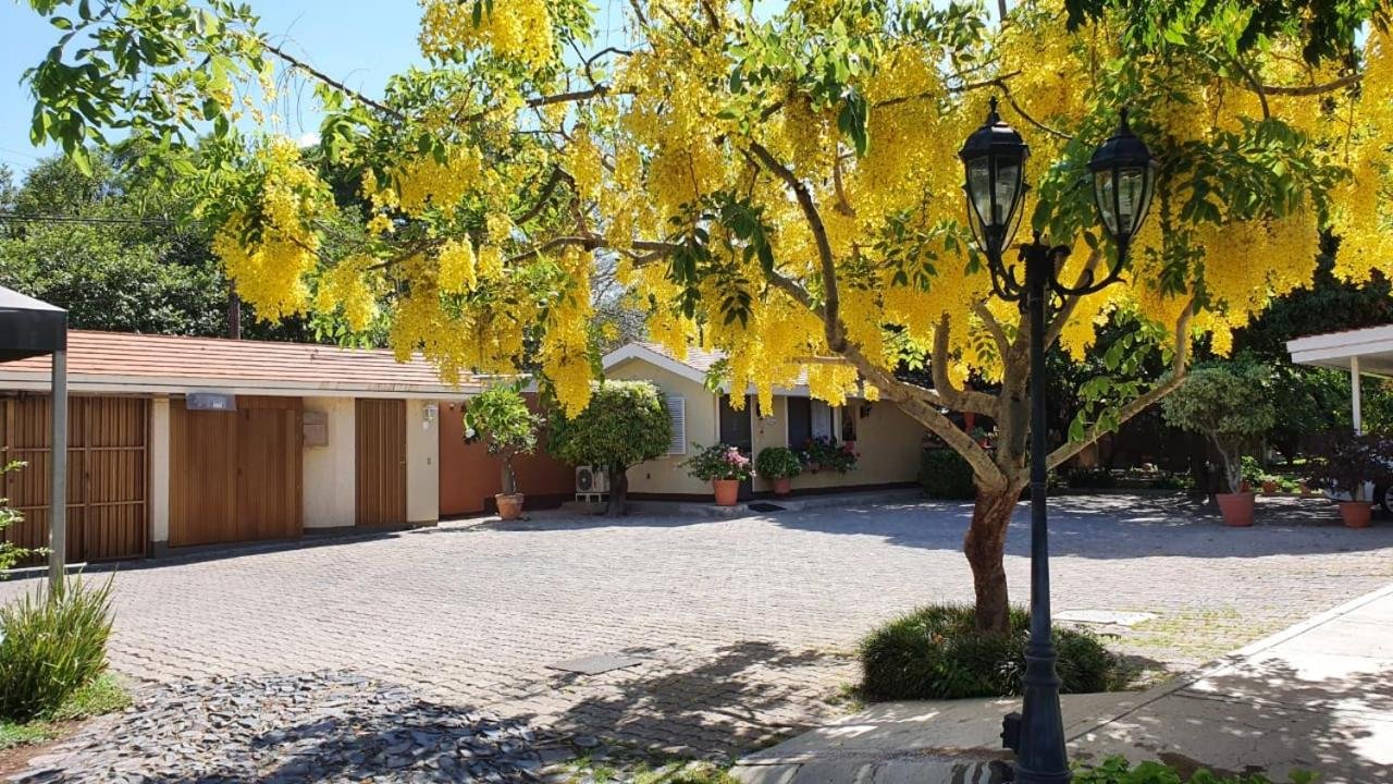 Departamento Amueblado en Renta Guadalajara Sur